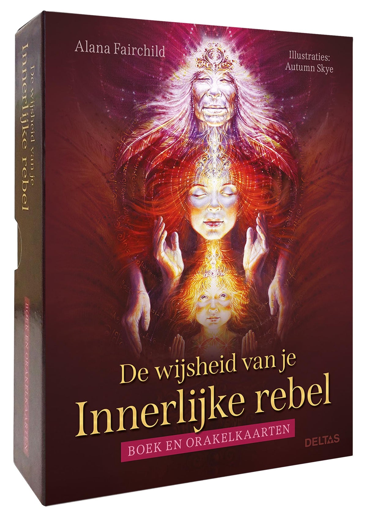 Deltas De wijsheid van je innerlijke rebel 1 Set