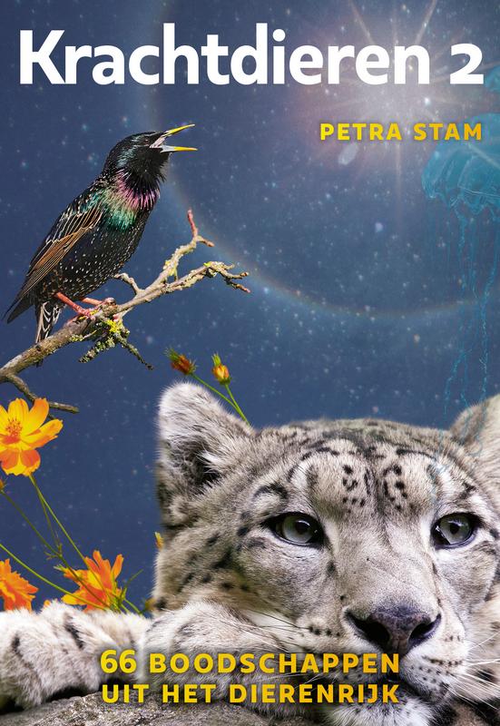 A3 boeken Krachtdieren 2 kaartenset 1 Set