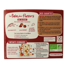 Pain Des Fleurs Krokante crackers kastanje glutenvrij bio 150.00 Gram