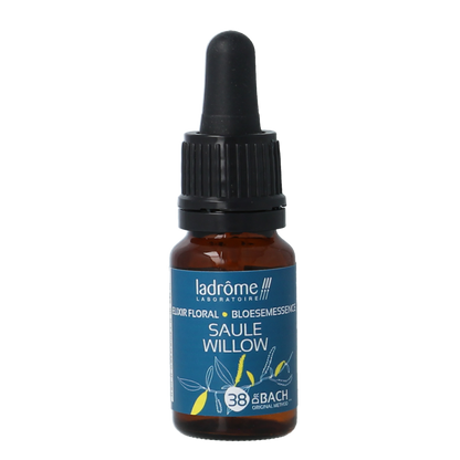 Ladrome Willow bio 10.00 Milliliter