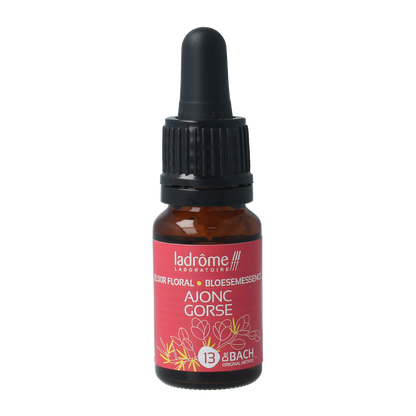 Ladrome Gorse bio 10.00 Milliliter
