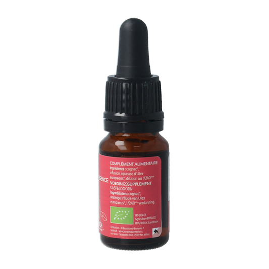 Ladrome Gorse bio 10.00 Milliliter
