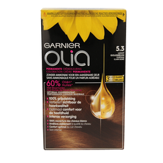 Garnier Olia 5.3 golden brown  1 Set