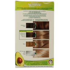 Nutrisse Nutrisse 70 ambre  1 Set