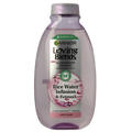 Garnier Rice water shampoo 300.00 Milliliter