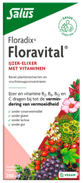 Salus Floradix floravital 250.00 Milliliter