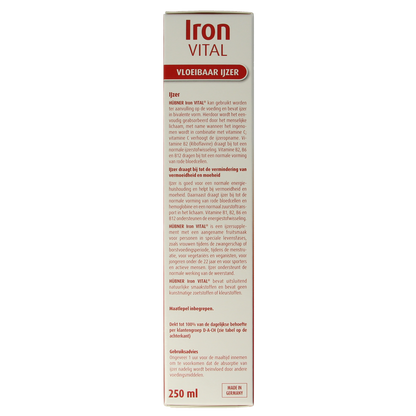Hubner Iron vital 250.00 Milliliter