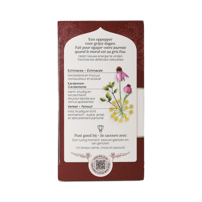 Yogi Tea Echinacea bio 17.00 Zakjes