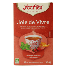 Yogi Tea Heartwarming bio 17.00 Zakjes