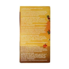 Yogi Tea Pumpkin chai bio 17.00 Zakjes