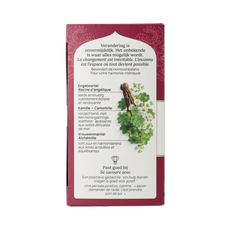 Yogi Tea Yogi® Meno Harmony Bio 17.00 Zakjes