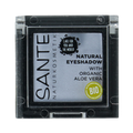 Sante Eyeshadow naturel 06 no clouds in sight 1.8 Gram