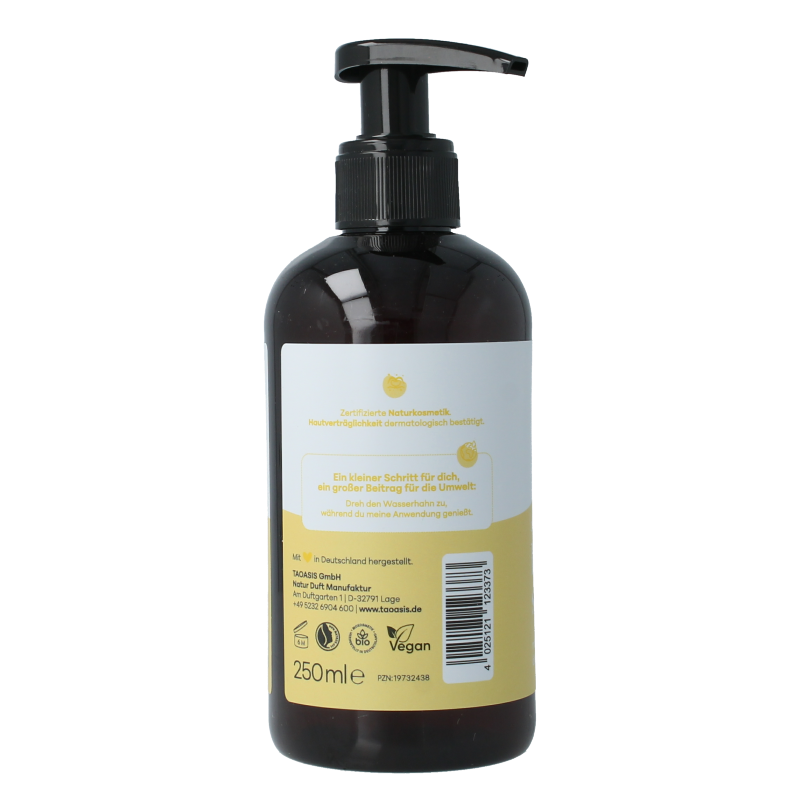 Baldini Handzeep citrus 250 Milliliter