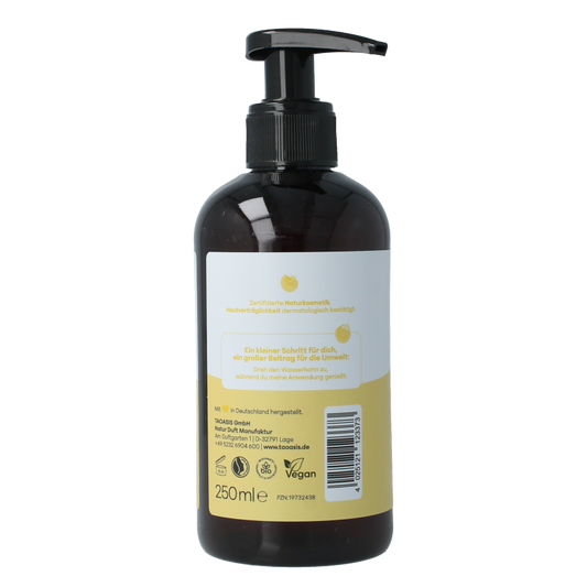 Baldini Handzeep citrus 250 Milliliter