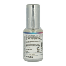 Lichtwesen Powertrain energie spray 30 Milliliter