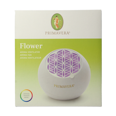 Primavera Aroma fan flower 1.00 Stuks