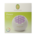 Primavera Aroma fan flower 1.00 Stuks
