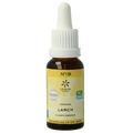 Bach Bloesem Bach bloesemremedies larch bio 20 Milliliter
