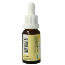 Bach Bloesem Bach bloesemremedies larch bio 20 Milliliter
