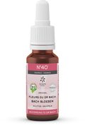 Bach Bloesem Bach bloesems mengeling 40 energie bio  20 Milliliter
