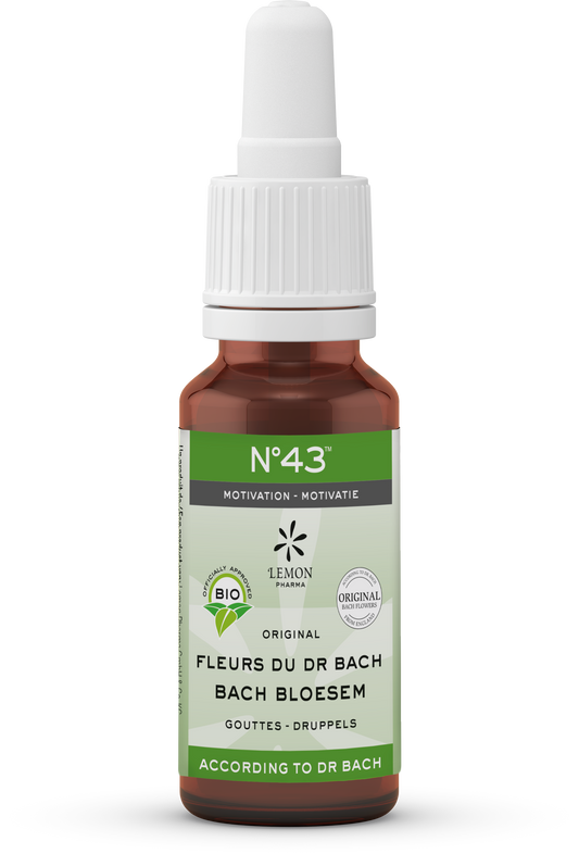 Bach Bloesem Bach bloesems mengeling 43 motivatie bio  20 Milliliter