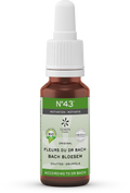 Bach Bloesem Bach bloesems mengeling 43 motivatie bio  20 Milliliter