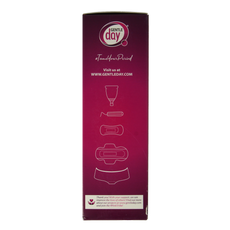 Gentle Day Intieme wasgel 250.00 Milliliter
