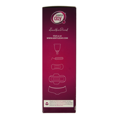 Gentle Day Intieme wasgel 250.00 Milliliter
