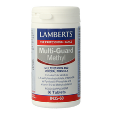 Lamberts Multi-guard methyl 60.00 Tabletten