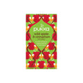 Pukka Wild apple & cinnamon bio 20.00 Zakjes