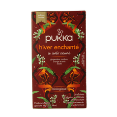 Pukka Winter warmer bio 20 Zakjes