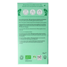 Pukka Mint matcha green tea bio 20.00 Zakjes