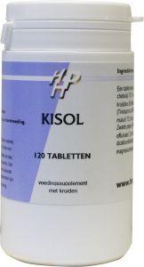 Holisan Kisol 120 Tabletten