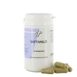 Holisan Saptamlo 60 Vegetarische capsules