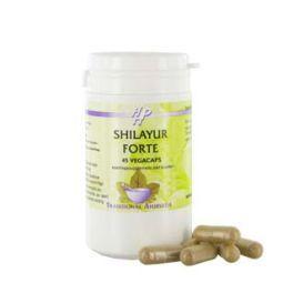 Holisan Shilayur forte 45 Vegetarische capsules