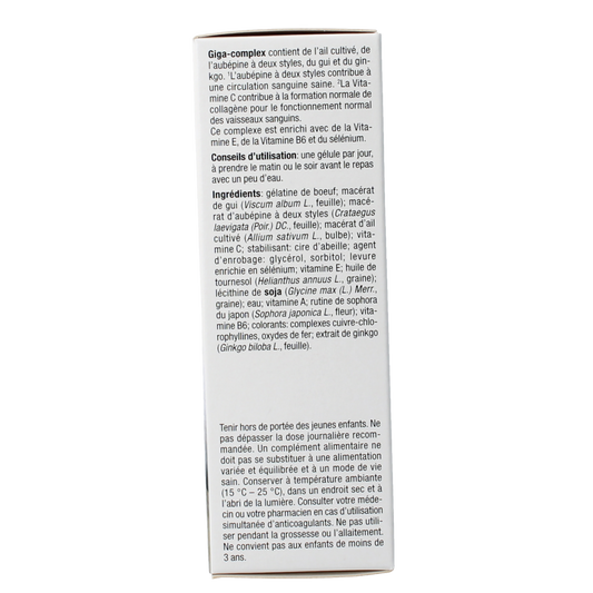 Fytostar Giga complex knoflook 80.00 Capsules