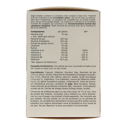 Fytostar Giga complex knoflook 160.00 Capsules