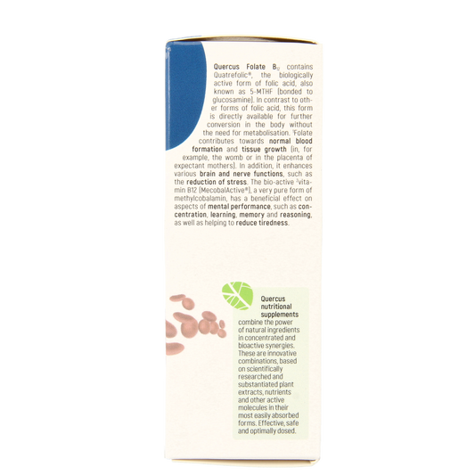 Quercus Folate B12 80.00 Tabletten