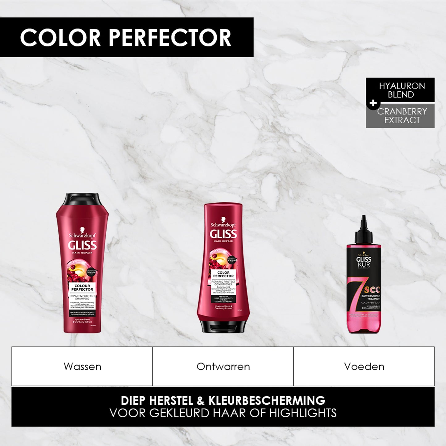 Gliss Kur Shampoo colour perfector  250 Milliliter
