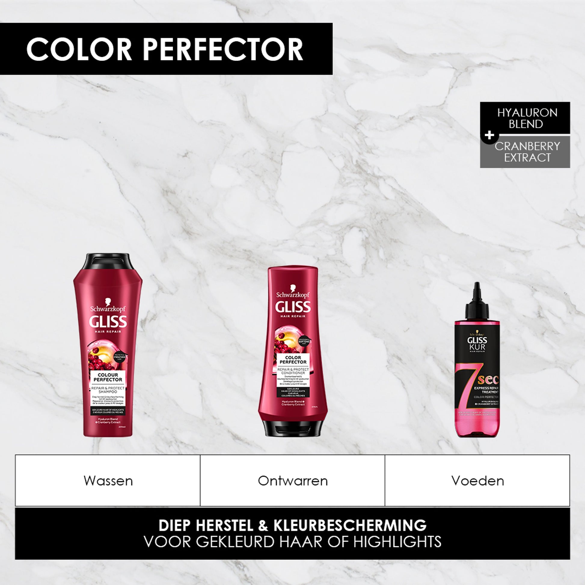 Gliss Kur Shampoo colour perfector  250 Milliliter