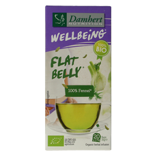 Damhert Tea time venkelthee bio 20.00 Zakjes