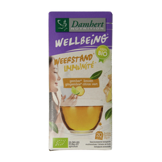 Damhert Tea time gember limoenthee bio 20 Zakjes