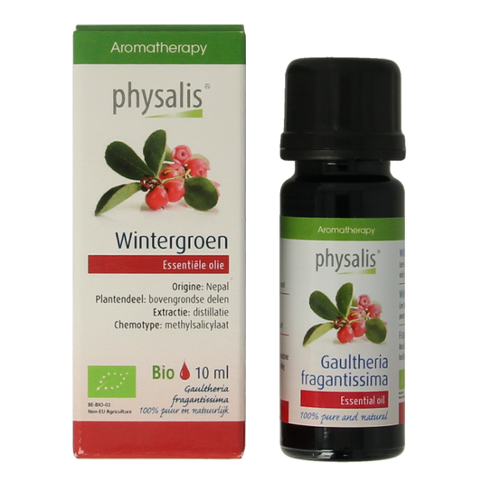 Physalis Wintergreen bio 10 Milliliter