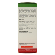 Physalis Wintergreen bio 10.00 Milliliter
