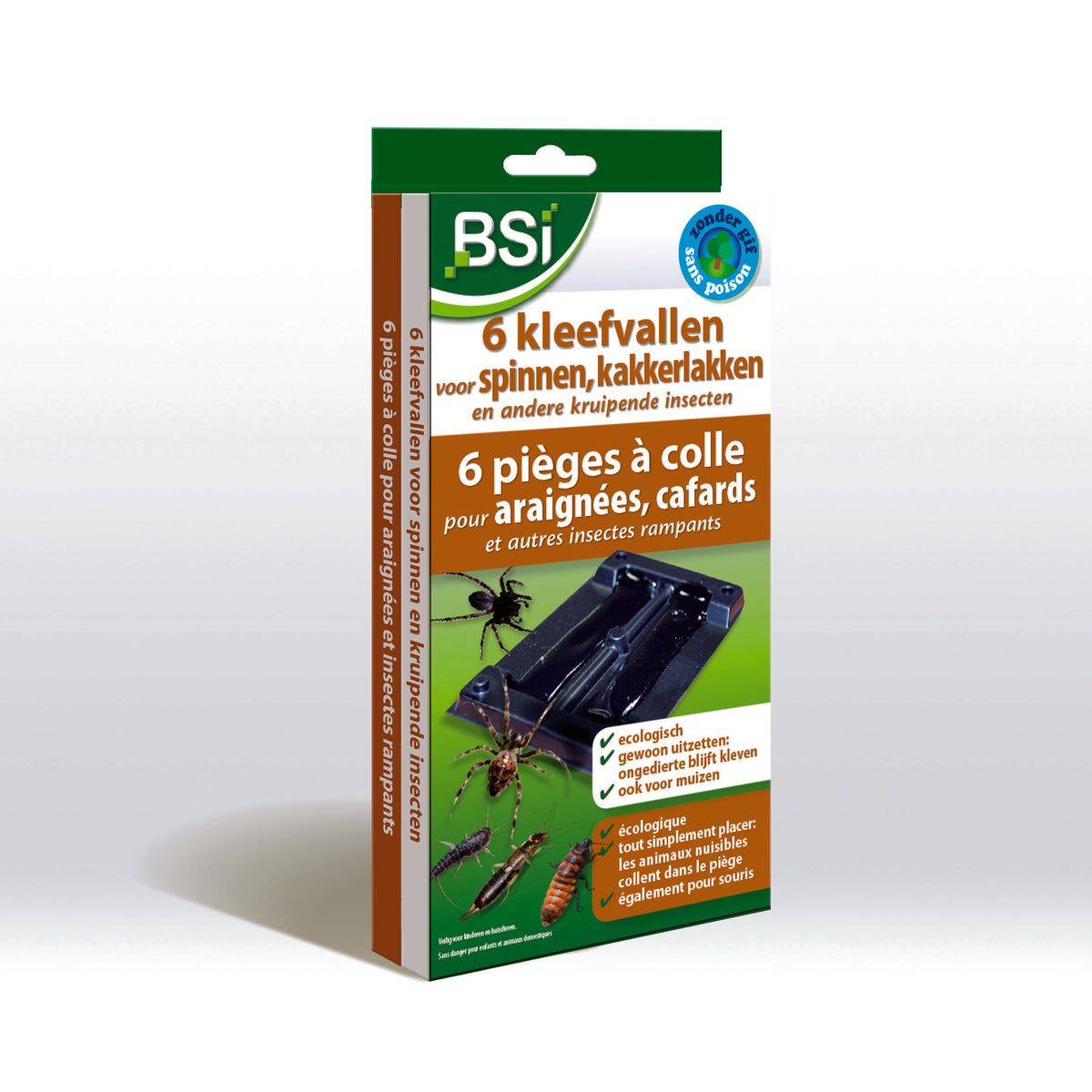 BSI Kleefvallen voor spinnen 6.00 Stuks