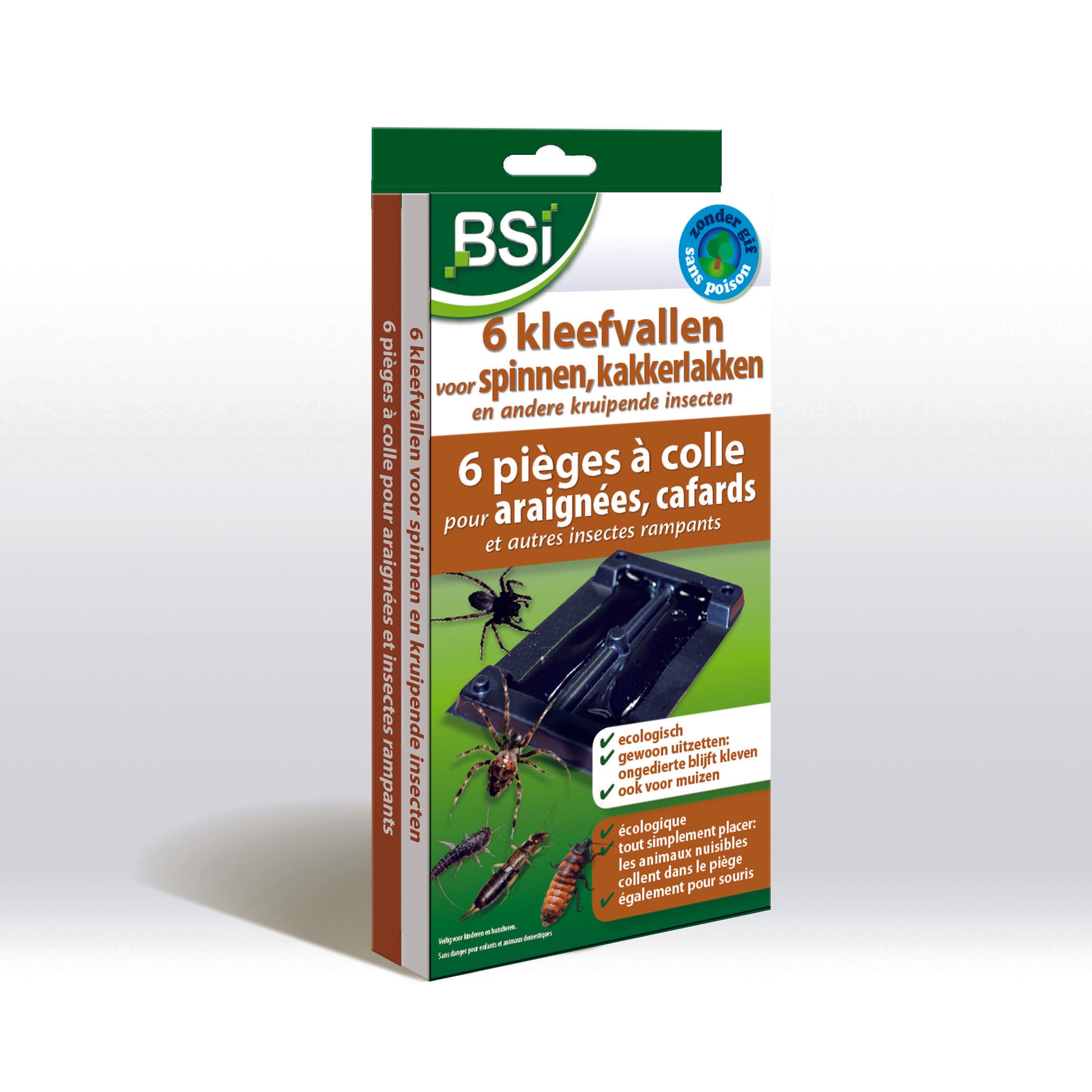 BSI Kleefvallen voor spinnen 6 Stuks