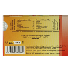 Xyligum Fruit 15 Gram