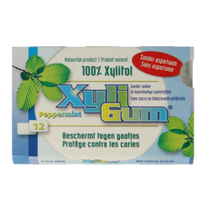 Xyligum Peppermint 12 Stuks