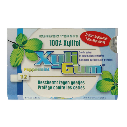 Xyligum Peppermint 12.00 Stuks
