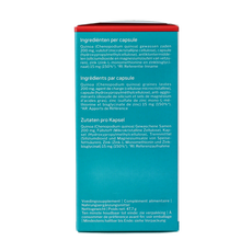 Nutrisan Nutrizinc 90 Capsules